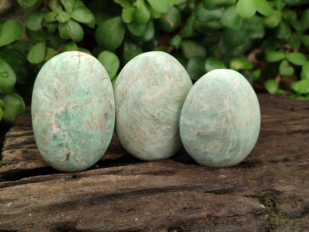 Polished Amazonite Palm Stones x 24 From Zimbabwe