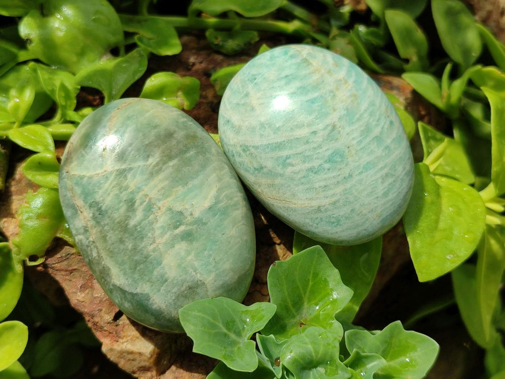 Polished Amazonite Palm Stones x 24 From Zimbabwe