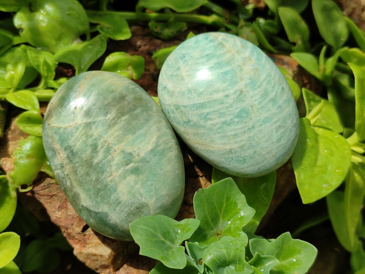 Polished Amazonite Palm Stones x 24 From Zimbabwe