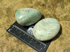 Polished Amazonite Palm Stones x 24 From Zimbabwe