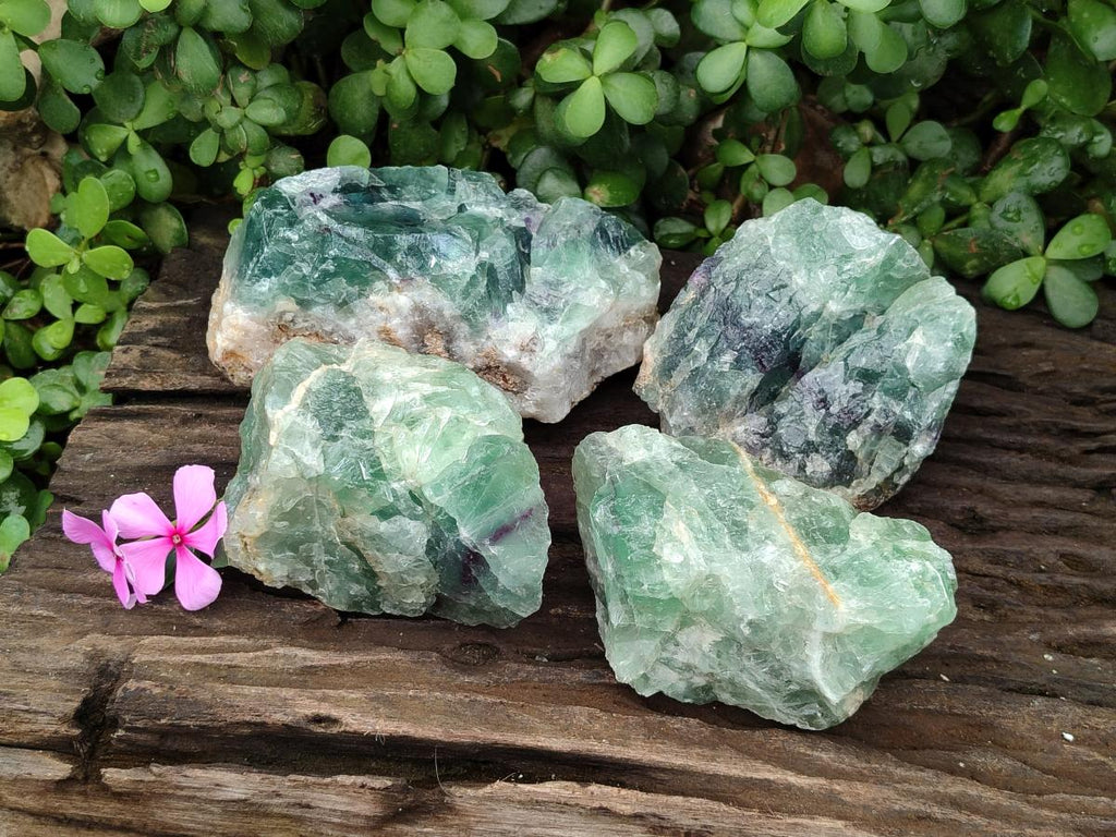 Natural Watermelon Fluorite Cobbed Specimens x 4 From Uis, Namibia