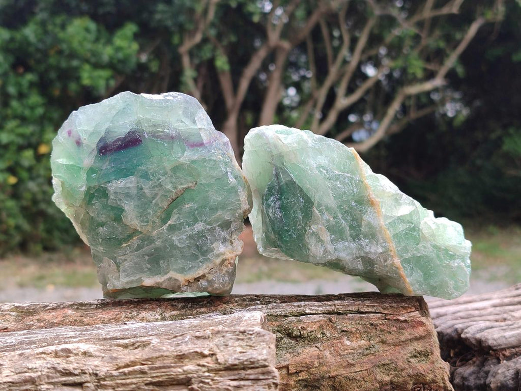 Natural Watermelon Fluorite Cobbed Specimens x 4 From Uis, Namibia