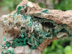 Natural Rare Bladed Barite and Malachite Specimens x 2 From Congo