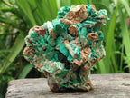 Natural Rare Bladed Barite and Malachite Specimens x 2 From Congo
