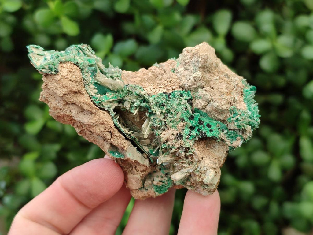 Natural Rare Bladed Barite and Malachite Specimens x 2 From Congo