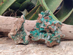 Natural Rare Bladed Barite and Malachite Specimens x 2 From Congo