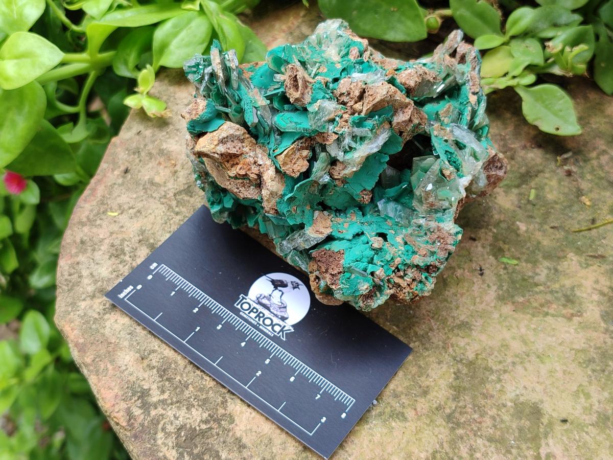 Natural Rare Bladed Barite and Malachite Specimens x 2 From Congo
