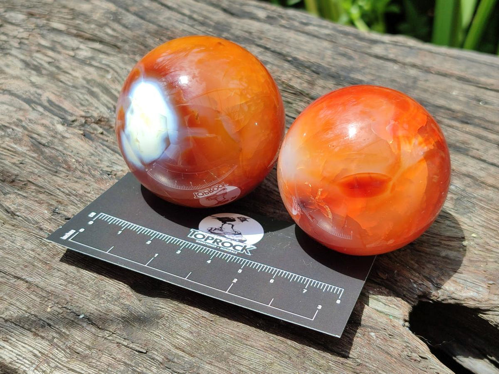 Polished Carnelian Agate Gemstone Spheres x 6 From Madagascar - Toprock Gemstones and Minerals 