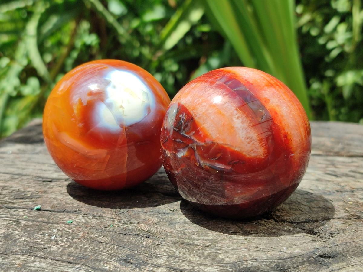 Polished Carnelian Agate Gemstone Spheres x 6 From Madagascar - Toprock Gemstones and Minerals 