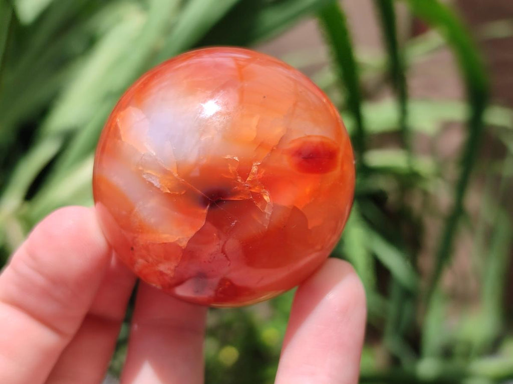 Polished Carnelian Agate Gemstone Spheres x 6 From Madagascar - Toprock Gemstones and Minerals 