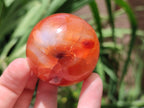 Polished Carnelian Agate Gemstone Spheres x 6 From Madagascar - Toprock Gemstones and Minerals 