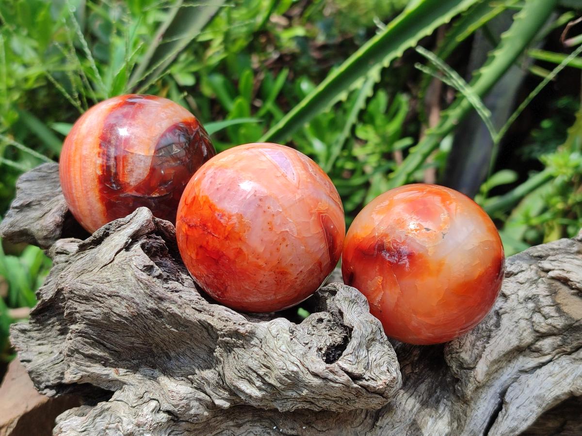 Polished Carnelian Agate Gemstone Spheres x 6 From Madagascar - Toprock Gemstones and Minerals 
