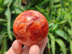 Polished Carnelian Agate Gemstone Spheres x 6 From Madagascar - Toprock Gemstones and Minerals 