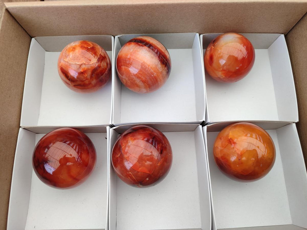 Polished Carnelian Agate Gemstone Spheres x 6 From Madagascar - Toprock Gemstones and Minerals 