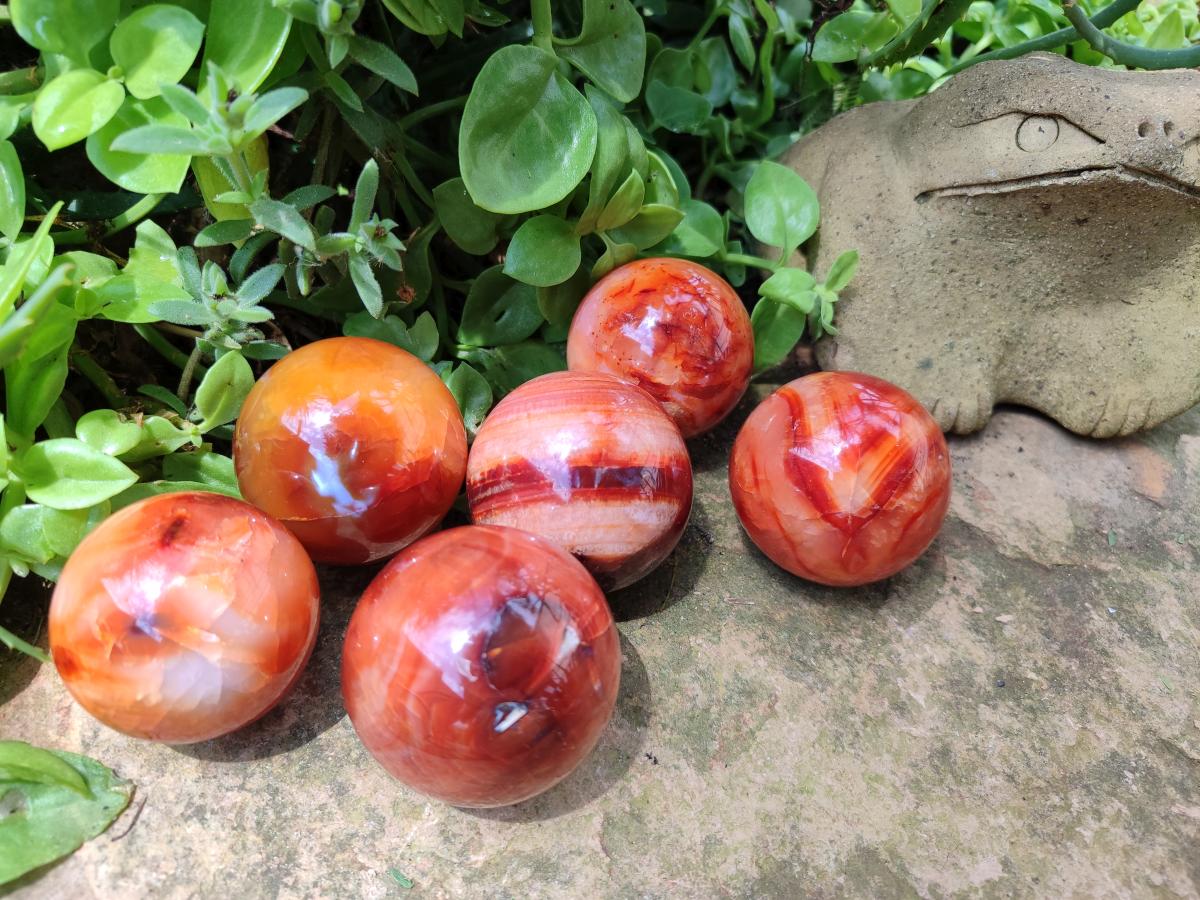 Polished Carnelian Agate Gemstone Spheres x 6 From Madagascar - Toprock Gemstones and Minerals 
