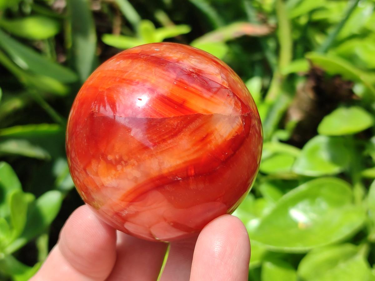 Polished Carnelian Agate Gemstone Spheres x 6 From Madagascar - Toprock Gemstones and Minerals 