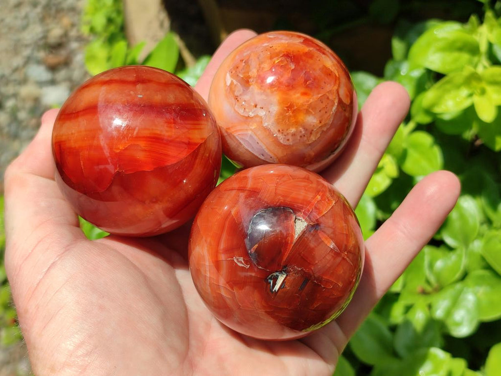 Polished Carnelian Agate Gemstone Spheres x 6 From Madagascar - Toprock Gemstones and Minerals 