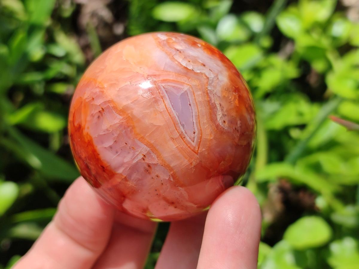 Polished Carnelian Agate Gemstone Spheres x 6 From Madagascar - Toprock Gemstones and Minerals 