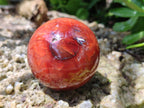 Polished Carnelian Agate Gemstone Spheres x 6 From Madagascar - Toprock Gemstones and Minerals 
