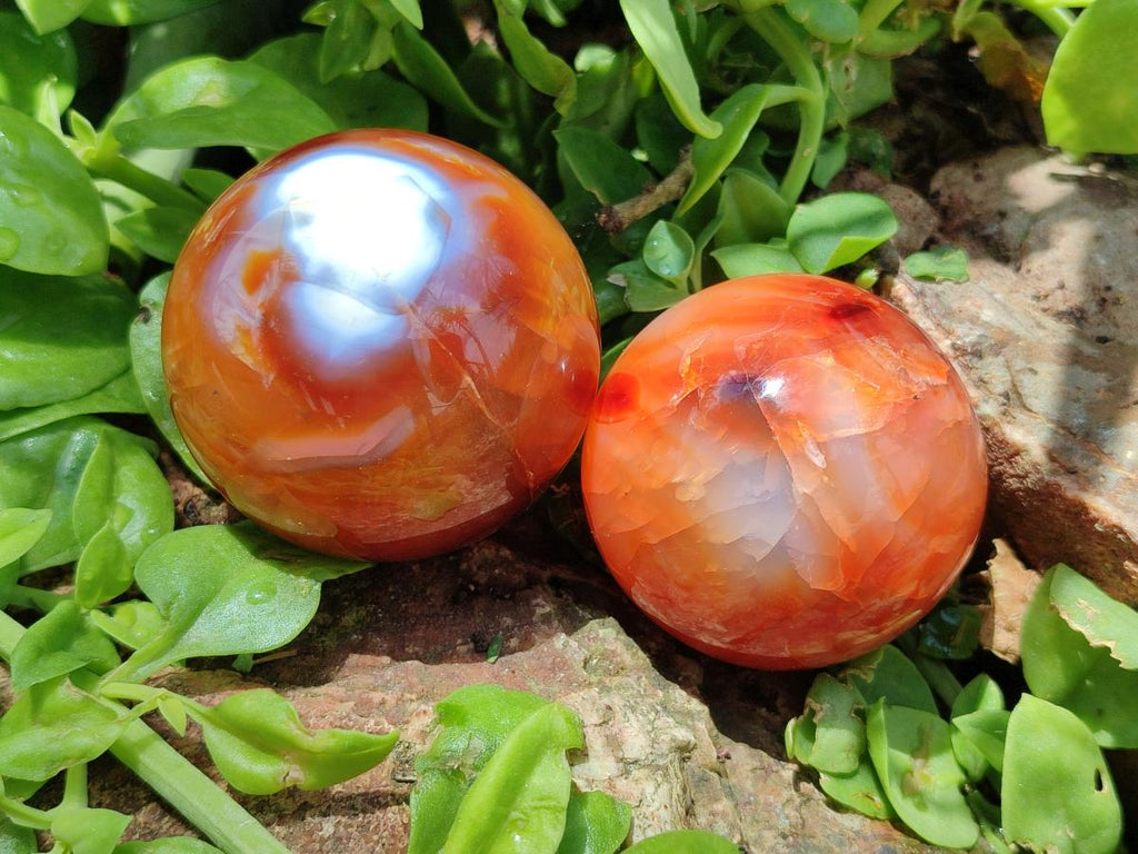Polished Carnelian Agate Gemstone Spheres x 6 From Madagascar - Toprock Gemstones and Minerals 