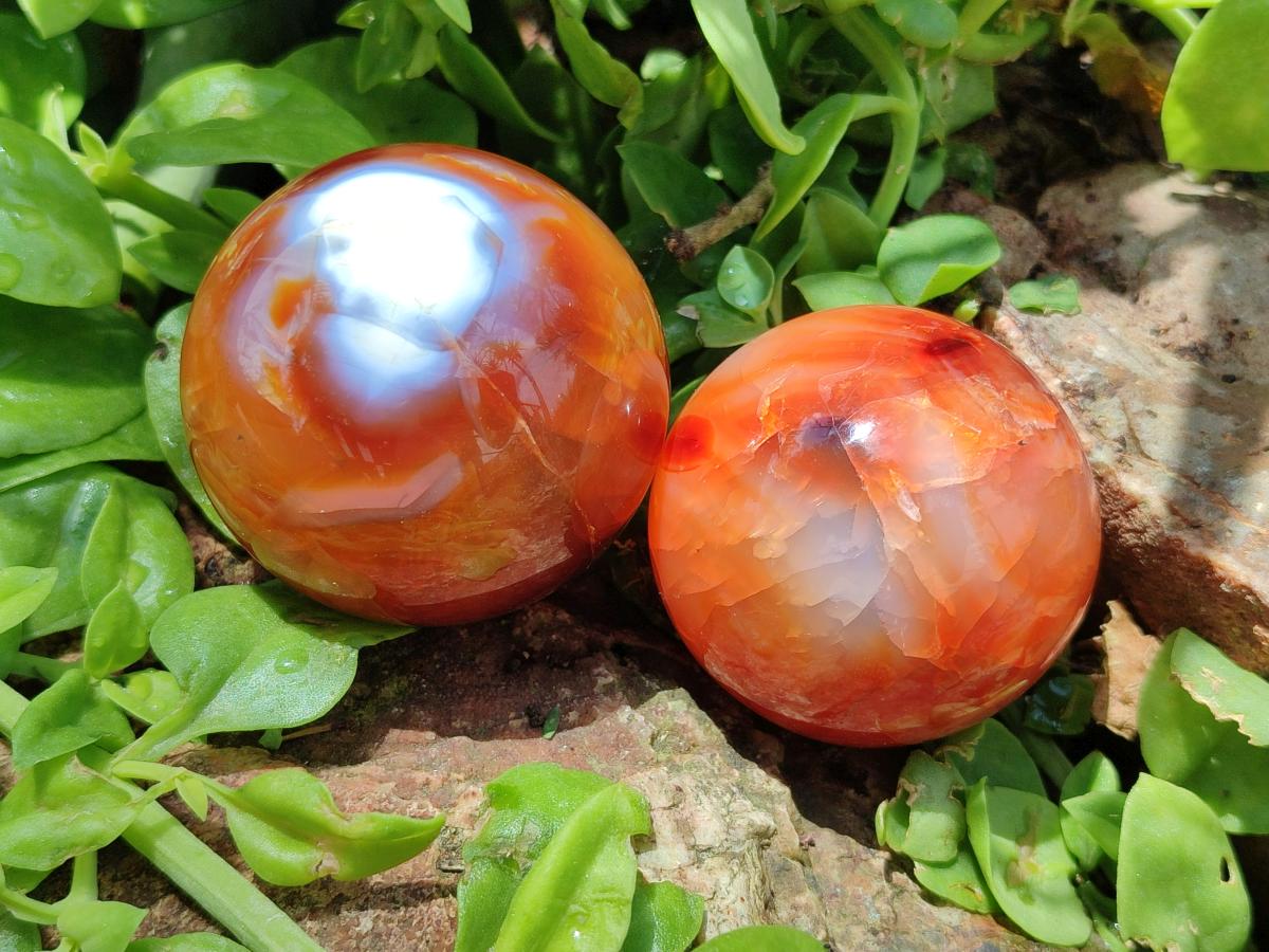 Polished Carnelian Agate Gemstone Spheres x 6 From Madagascar - Toprock Gemstones and Minerals 