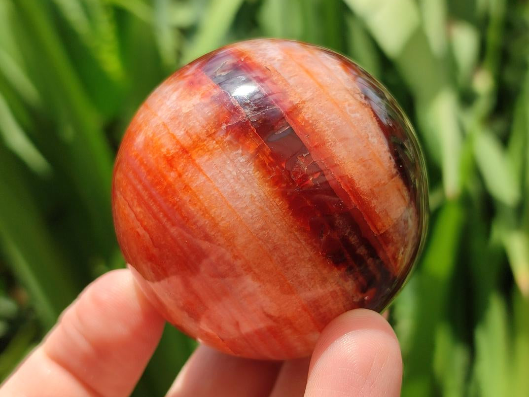 Polished Carnelian Agate Gemstone Spheres x 6 From Madagascar