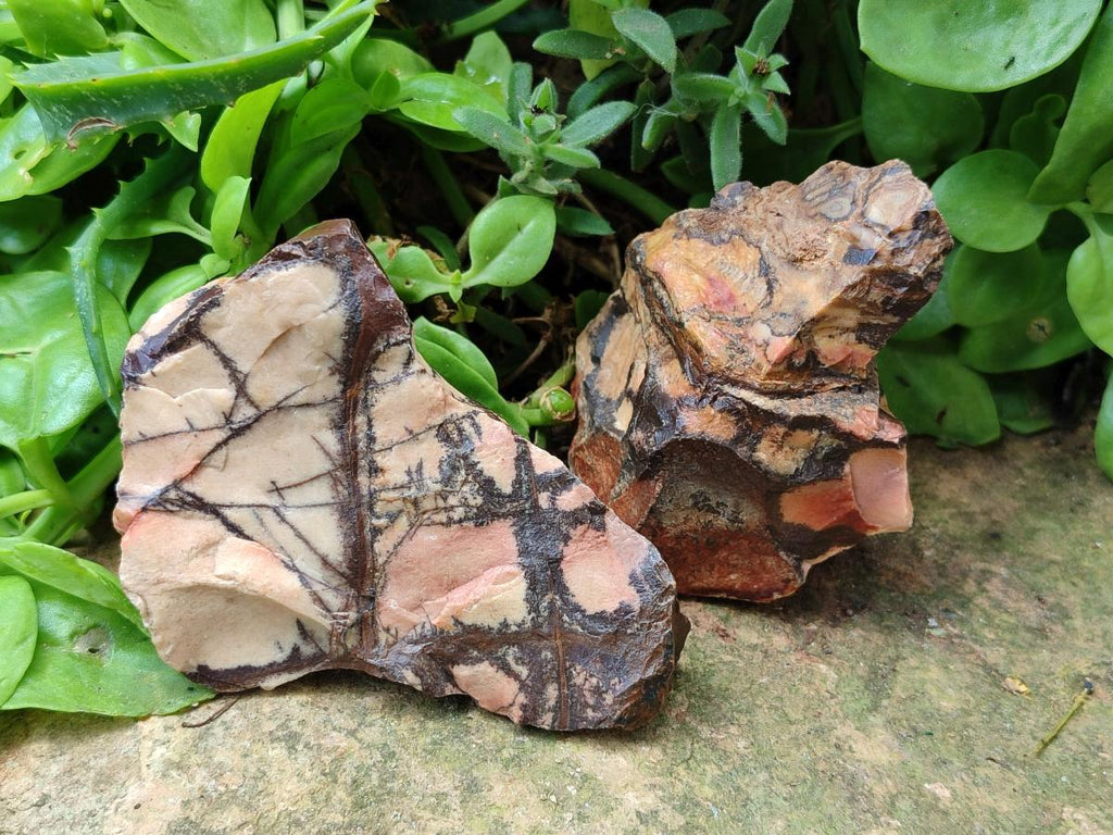 Natural Nguni Jasper Cobbed Specimens x 12 From Northern Cape, South Africa