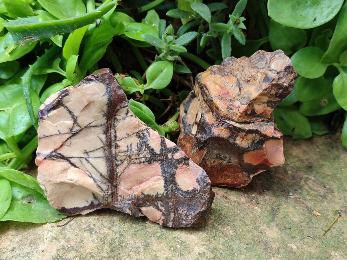 Natural Nguni Jasper Cobbed Specimens x 12 From Northern Cape, South Africa