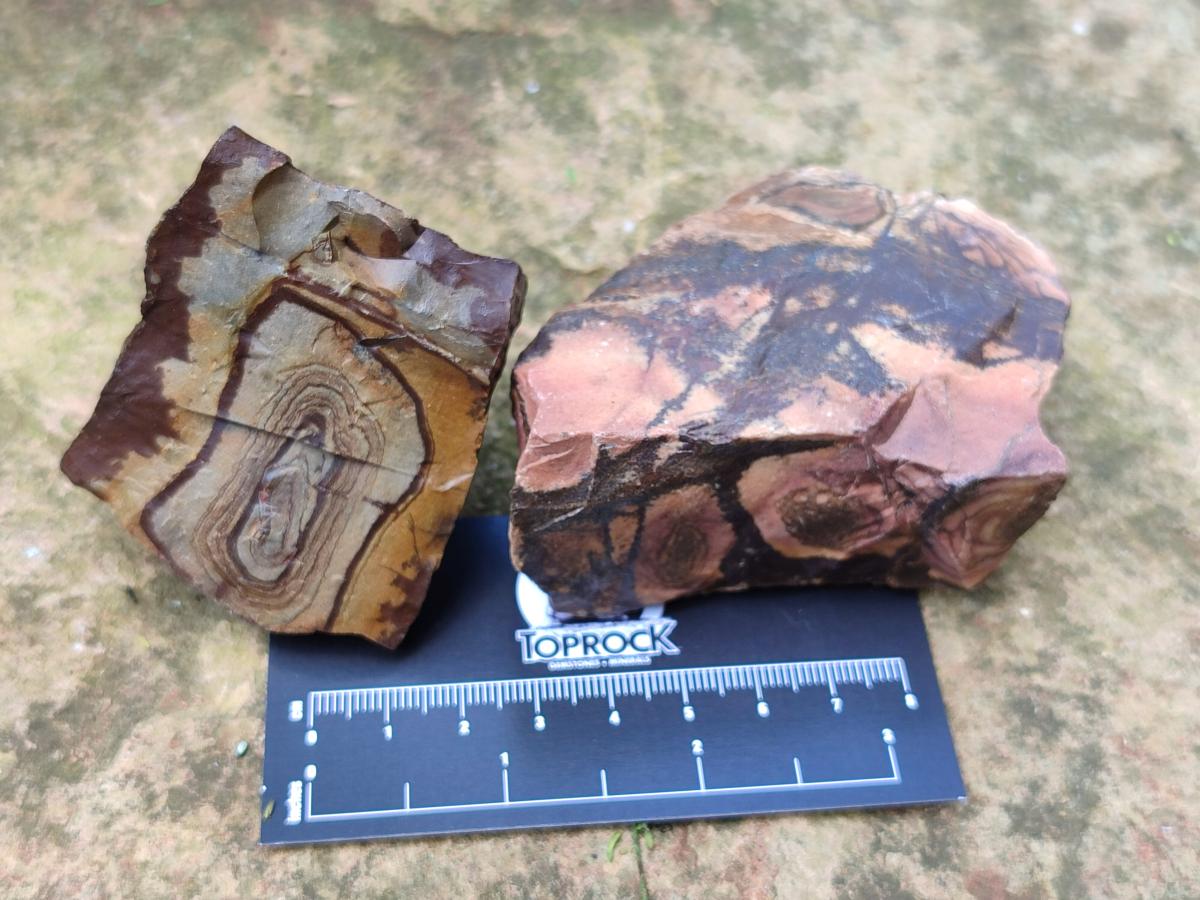 Natural Nguni Jasper Cobbed Specimens x 12 From Northern Cape, South Africa