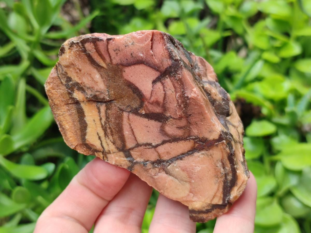 Natural Nguni Jasper Cobbed Specimens x 12 From Northern Cape, South Africa