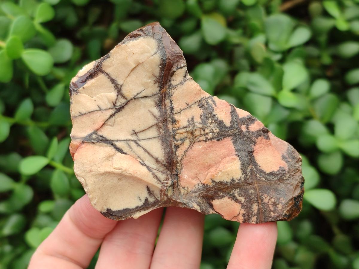 Natural Nguni Jasper Cobbed Specimens x 12 From Northern Cape, South Africa