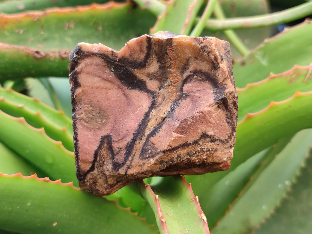 Natural Nguni Jasper Cobbed Specimens x 12 From Northern Cape, South Africa