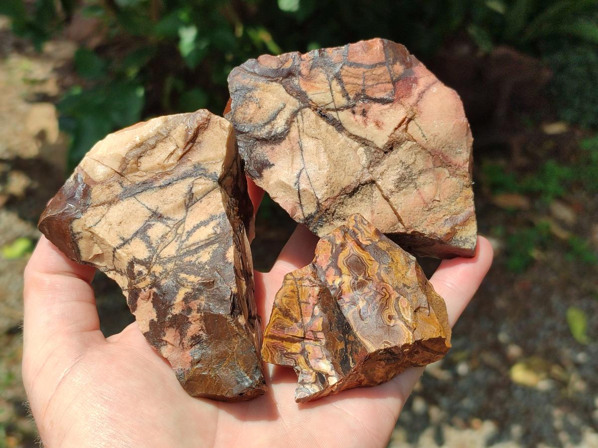 Natural Nguni Jasper Cobbed Specimens x 12 From Northern Cape, South Africa