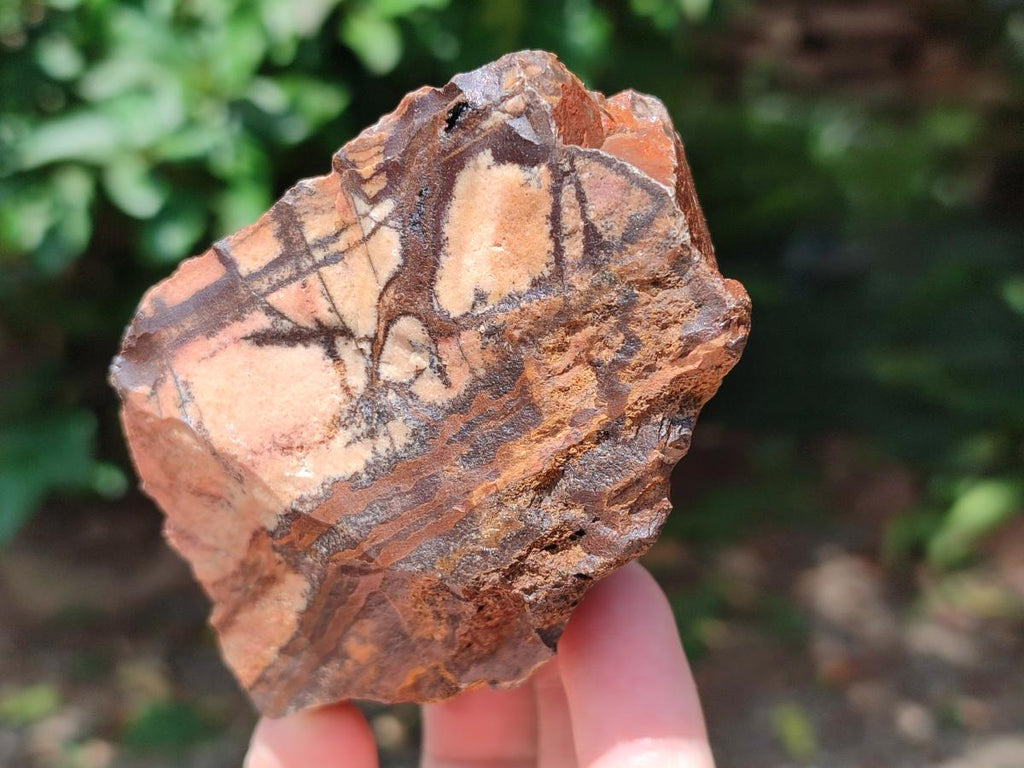 Natural Nguni Jasper Cobbed Specimens x 12 From Northern Cape, South Africa