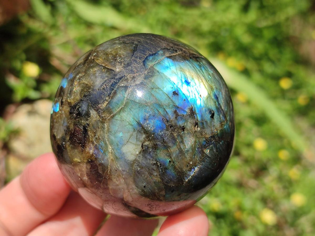 Polished Labradorite Spheres x 4 From Madagascar
