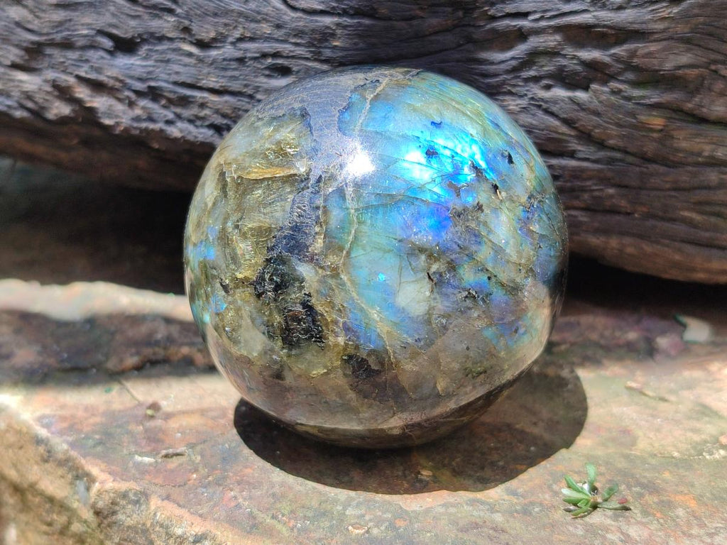 Polished Labradorite Spheres x 4 From Madagascar