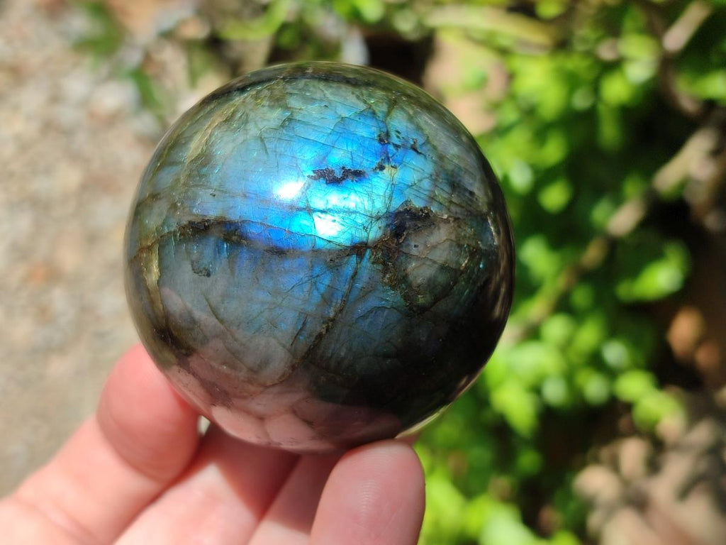 Polished Labradorite Spheres x 4 From Madagascar