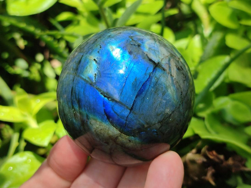 Polished Labradorite Spheres x 4 From Madagascar