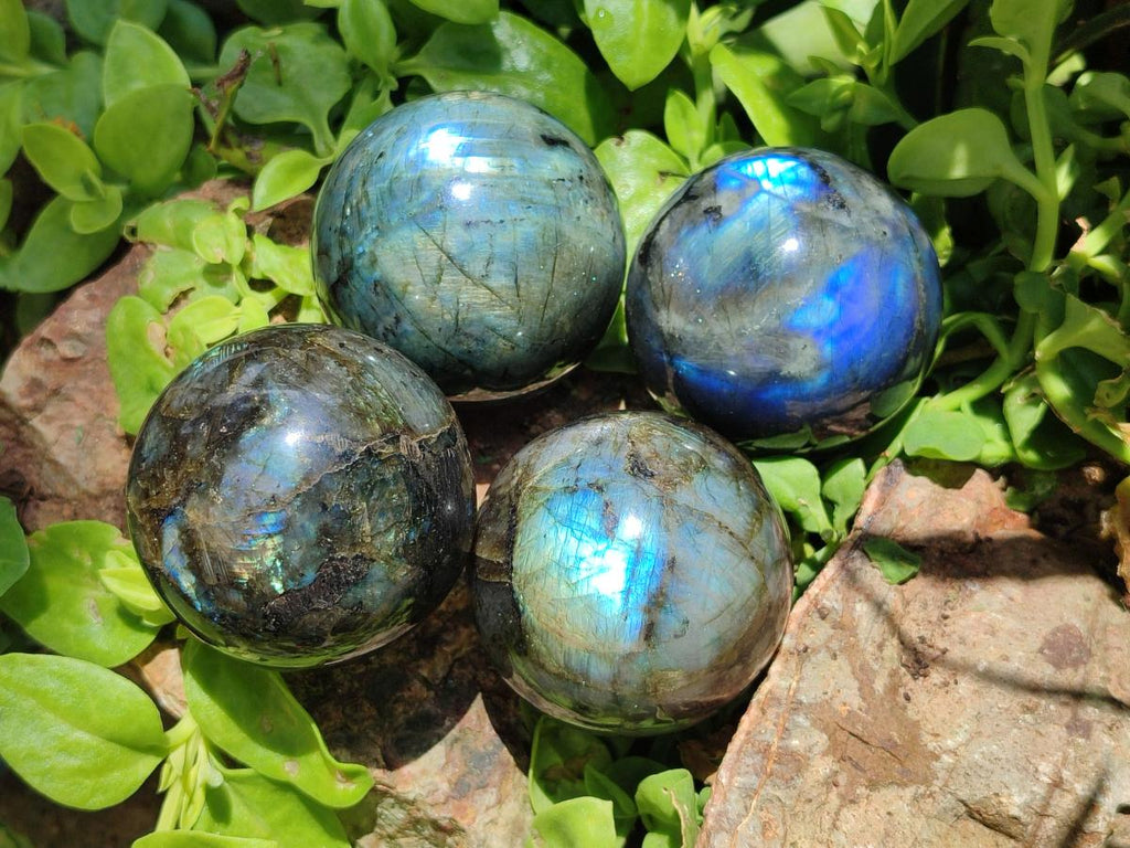 Polished Labradorite Spheres x 4 From Madagascar