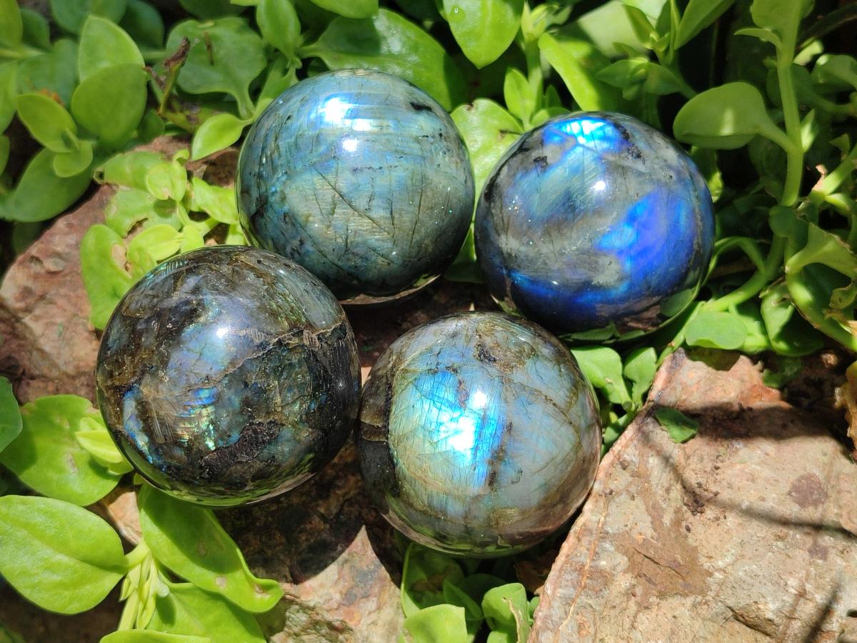 Polished Labradorite Spheres x 4 From Madagascar