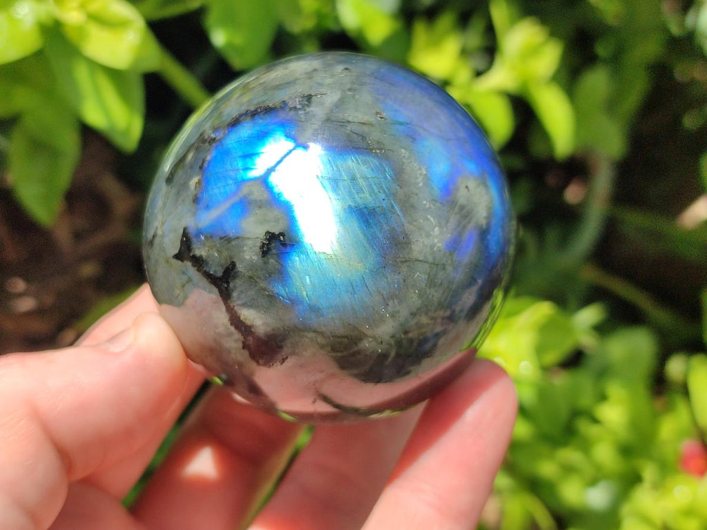 Polished Labradorite Spheres x 4 From Madagascar