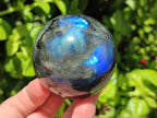 Polished Labradorite Spheres x 4 From Madagascar