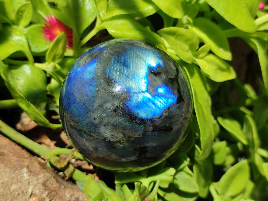 Polished Labradorite Spheres x 4 From Madagascar