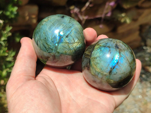 Polished Labradorite Spheres x 4 From Madagascar