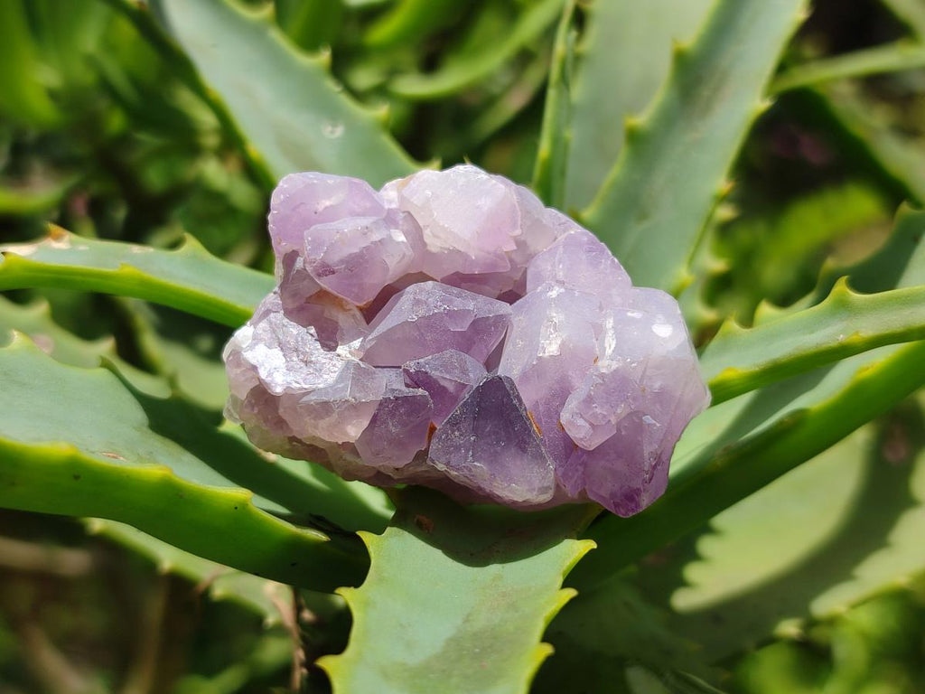 Natural Mine Run Amethyst Crystals x 2.82 kg Lot From Akansobe, Madagascar - Toprock Gemstones and Minerals 