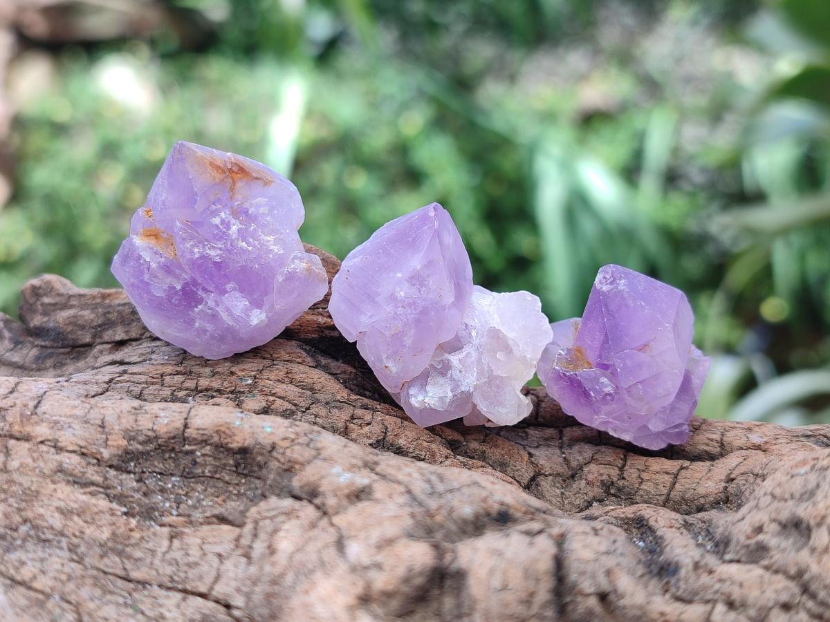 Natural Mine Run Amethyst Crystals x 2.82 kg Lot From Akansobe, Madagascar - Toprock Gemstones and Minerals 