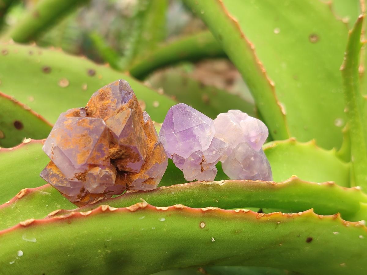Natural Mine Run Amethyst Crystals x 2.82 kg Lot From Akansobe, Madagascar - Toprock Gemstones and Minerals 