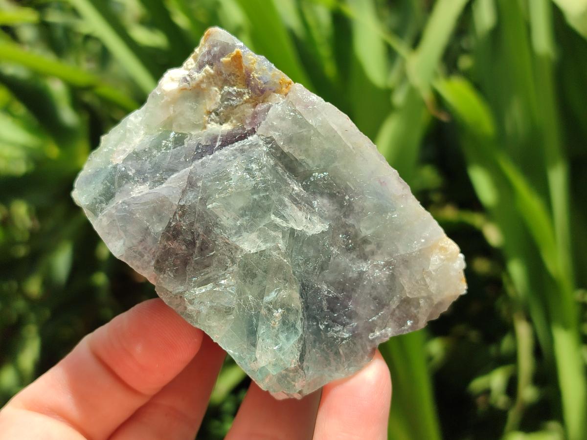 Natural Watermelon Fluorite Cobbed Specimens x 12 From Uis, Namibia