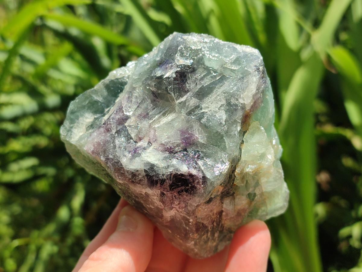Natural Watermelon Fluorite Cobbed Specimens x 12 From Uis, Namibia
