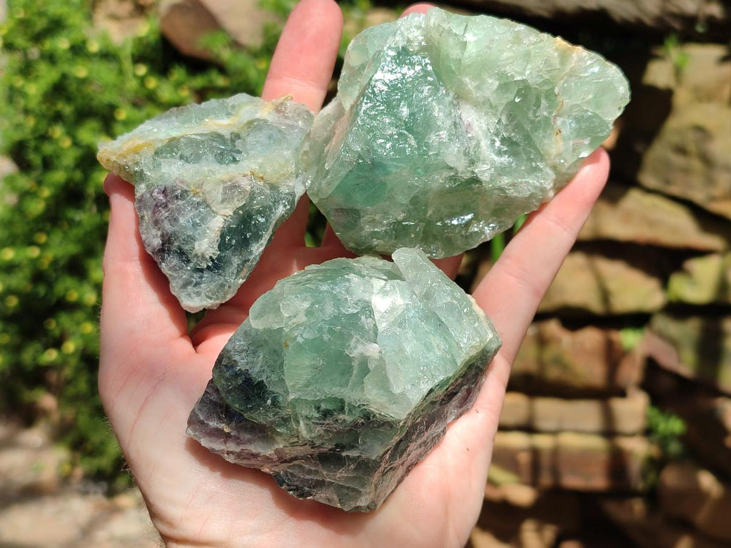 Natural Watermelon Fluorite Cobbed Specimens x 12 From Uis, Namibia